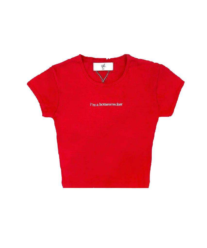 I'm a homewrecker t-shirt